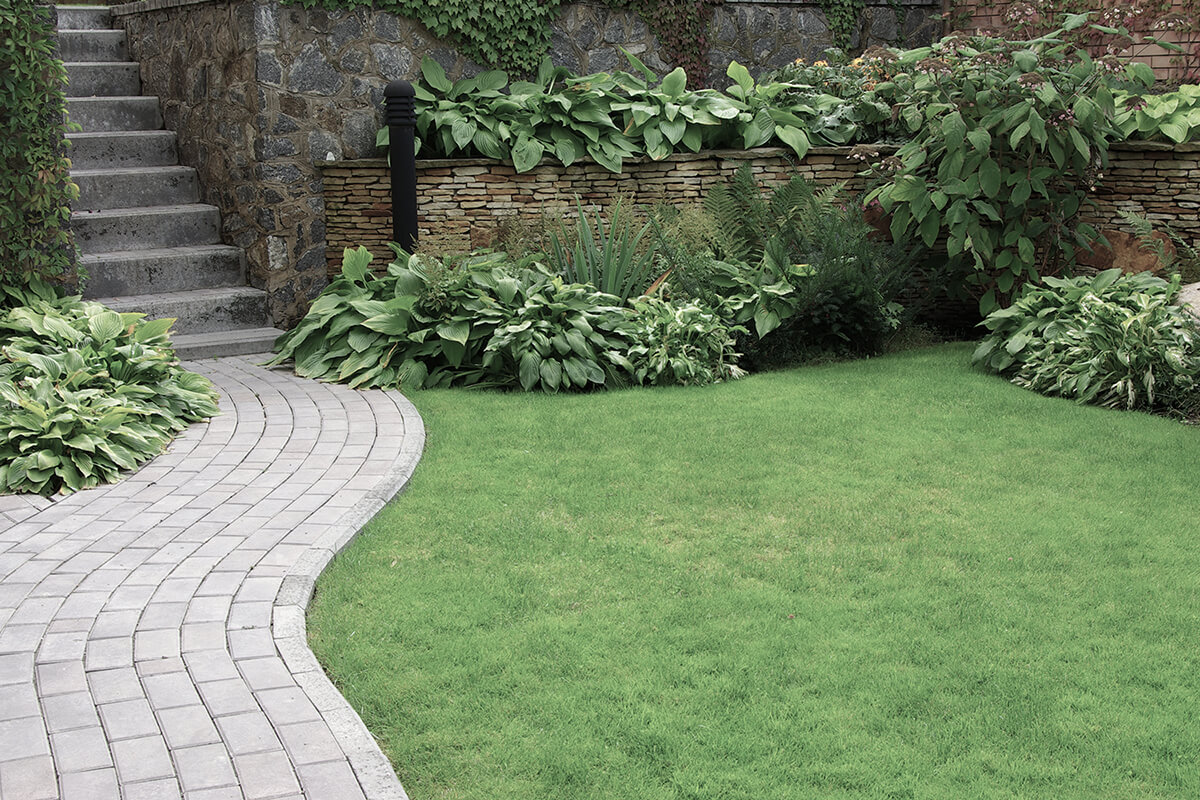 Welcome to Homestead Landscaping
